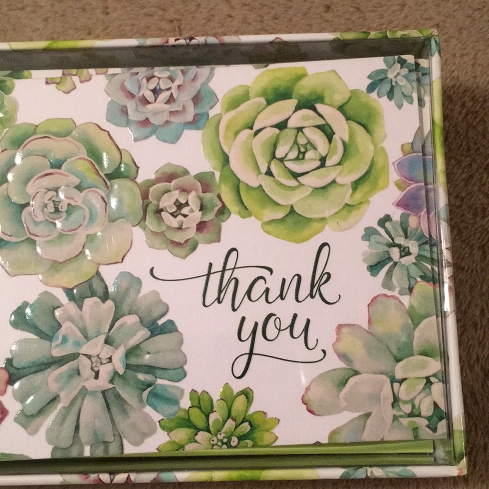 Succulent Garden Thank You Notes Boxed Set 14 NWT - Picture 3 of 11